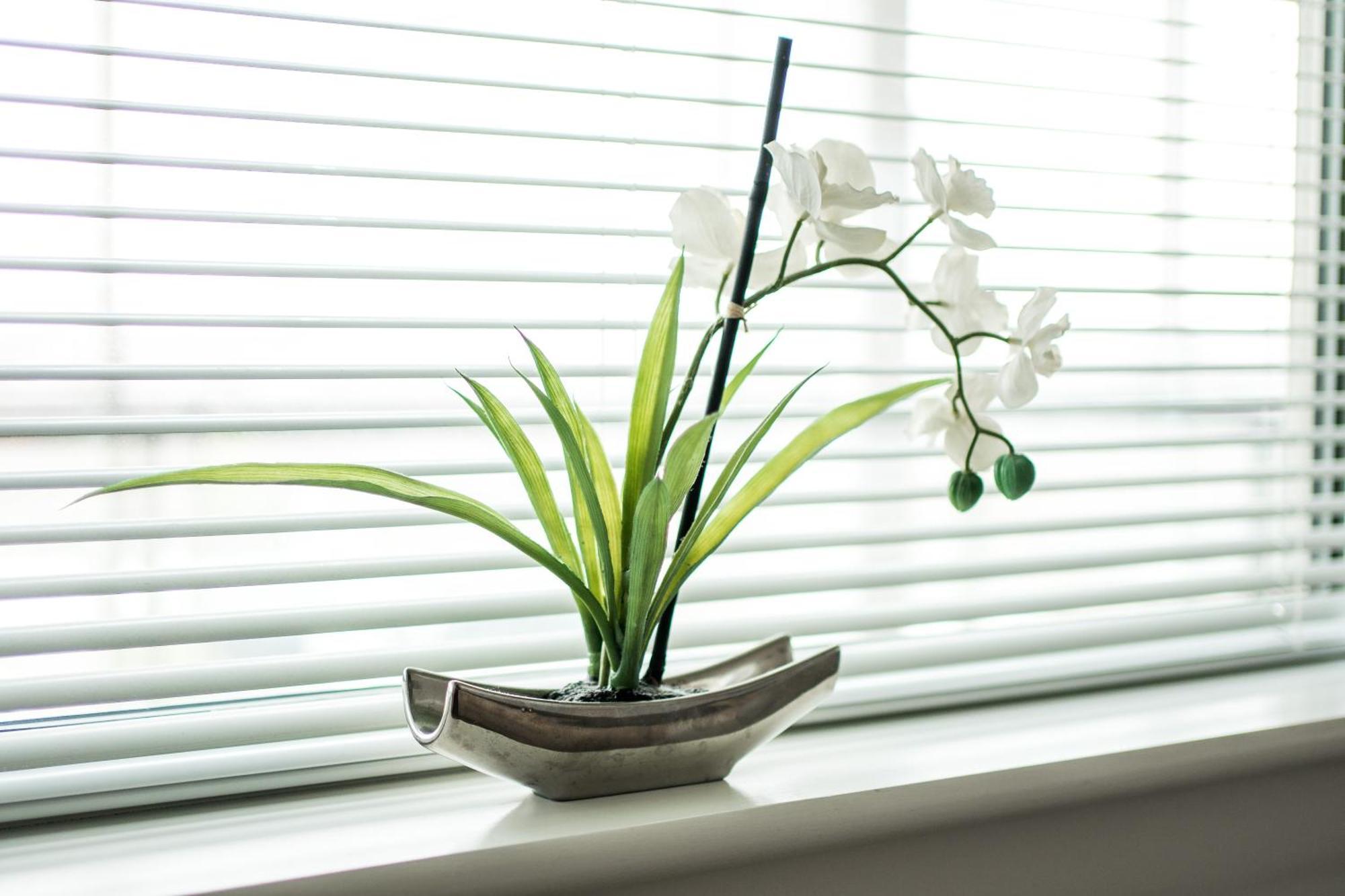 Canning Town -2 Bed Luxury Apartment 런던 외부 사진
